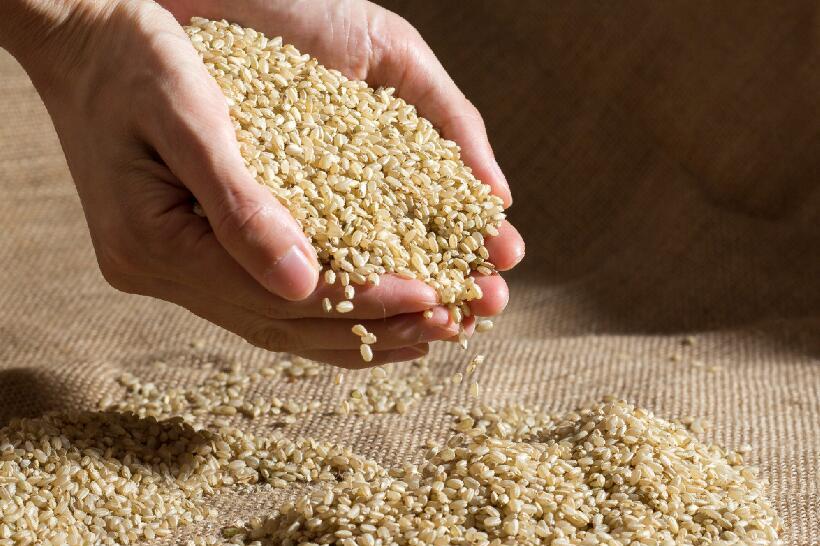 糙米哪些人不能吃 这几类人群需慎食
