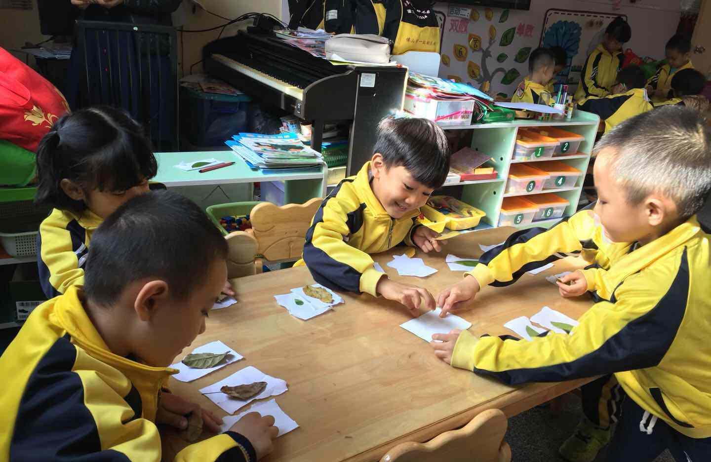 大班科学树叶找家教案