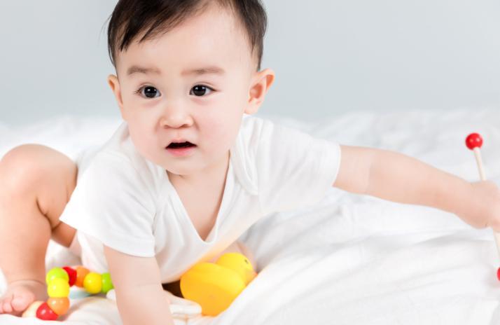 11个月宝宝早教怎么教 11个月宝宝早教方法