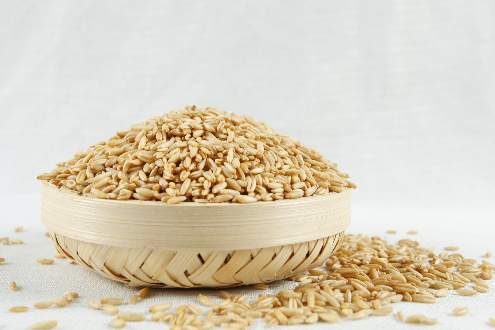 燕麦米和什么一起煮粥最好吃