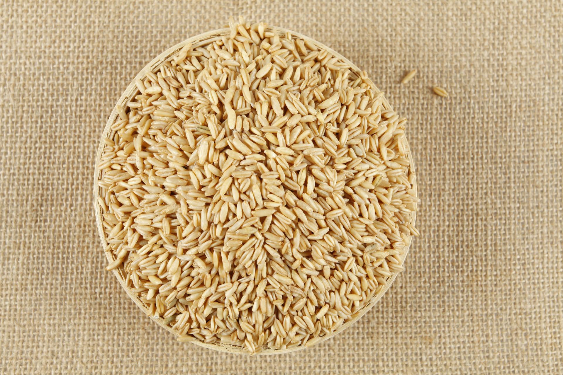 燕麦米要泡多久才可以煮