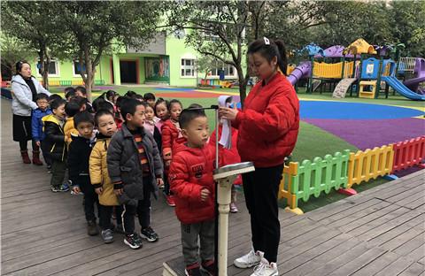 中班美术我们会长高教案