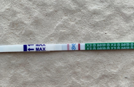 备孕经验贴