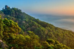 保护环境倡议书作文400字