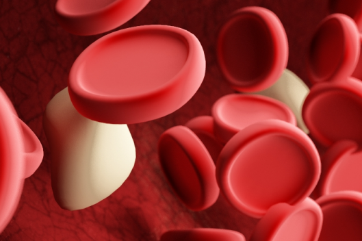 孕妇中性粒细胞百分比偏高对胎儿有影响吗