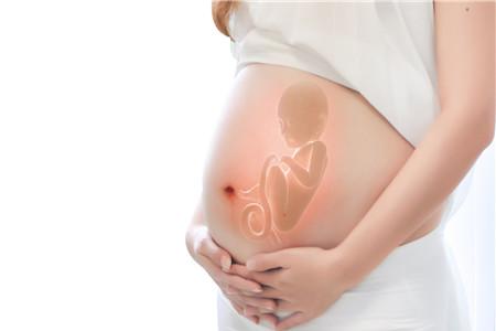 孕妇上厕所时胎儿在干嘛