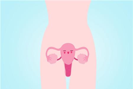 药流排出孕囊图片 药流孕囊是什么样子