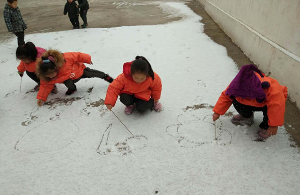 大班语言雪地里的小画家教案