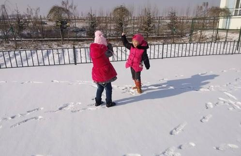 大班雪地里的小画家教案