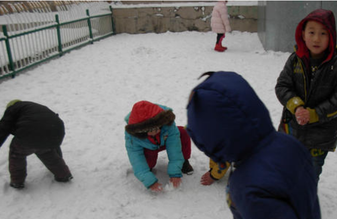 幼儿园大班雪地里的小画家教案