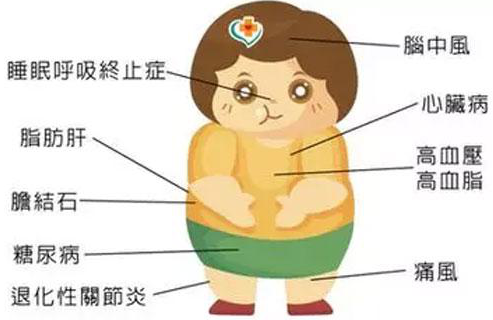 2030年中国肥胖儿童将增至664万：控制体重关键在营养均衡