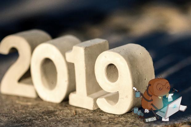 2019个人年终总结党员 2019党员年终总结范文