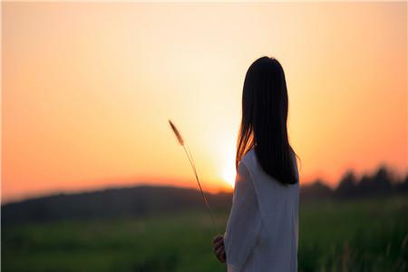 九种人坚决不能吃枸杞