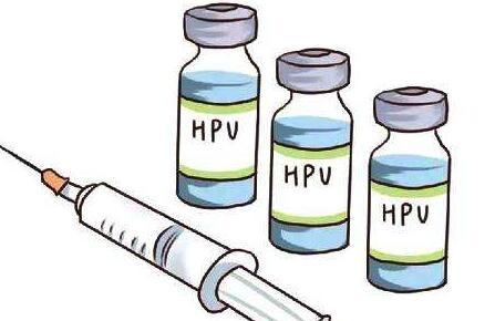 HPV疫苗对胎儿的影响
