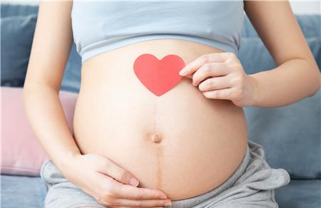 两道食谱有效提升你的孕力