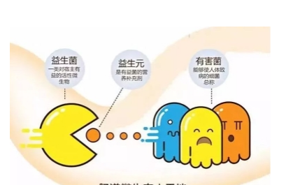 宝宝吸收不好喝什么奶粉能提高肠道健康