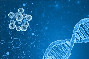 偷偷做亲子鉴定怎么做