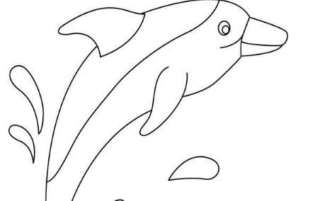 海豚怎么画简笔画图片大全