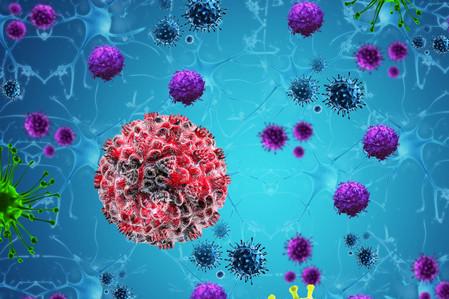 儿童冠状病毒的症状 新型冠状病毒的特征