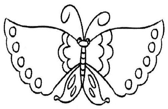 蝴蝶的简笔画图片大全 幼儿飞着的蝴蝶简笔画图片