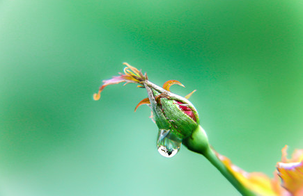 2020年雨水节气是哪天 2020年雨水节气具体时间