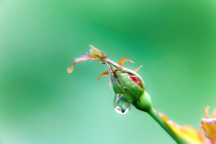2020年雨水节气是哪天 2020年雨水节气具体时间