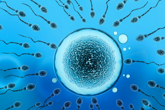 促排卵和自然排卵受孕哪个好