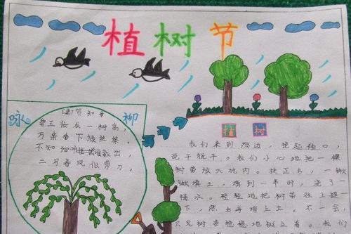 关于植树节的手抄报图片