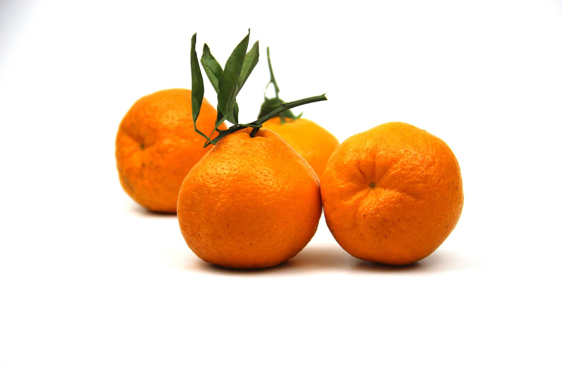 丑橘和一般的橘子有什么不同