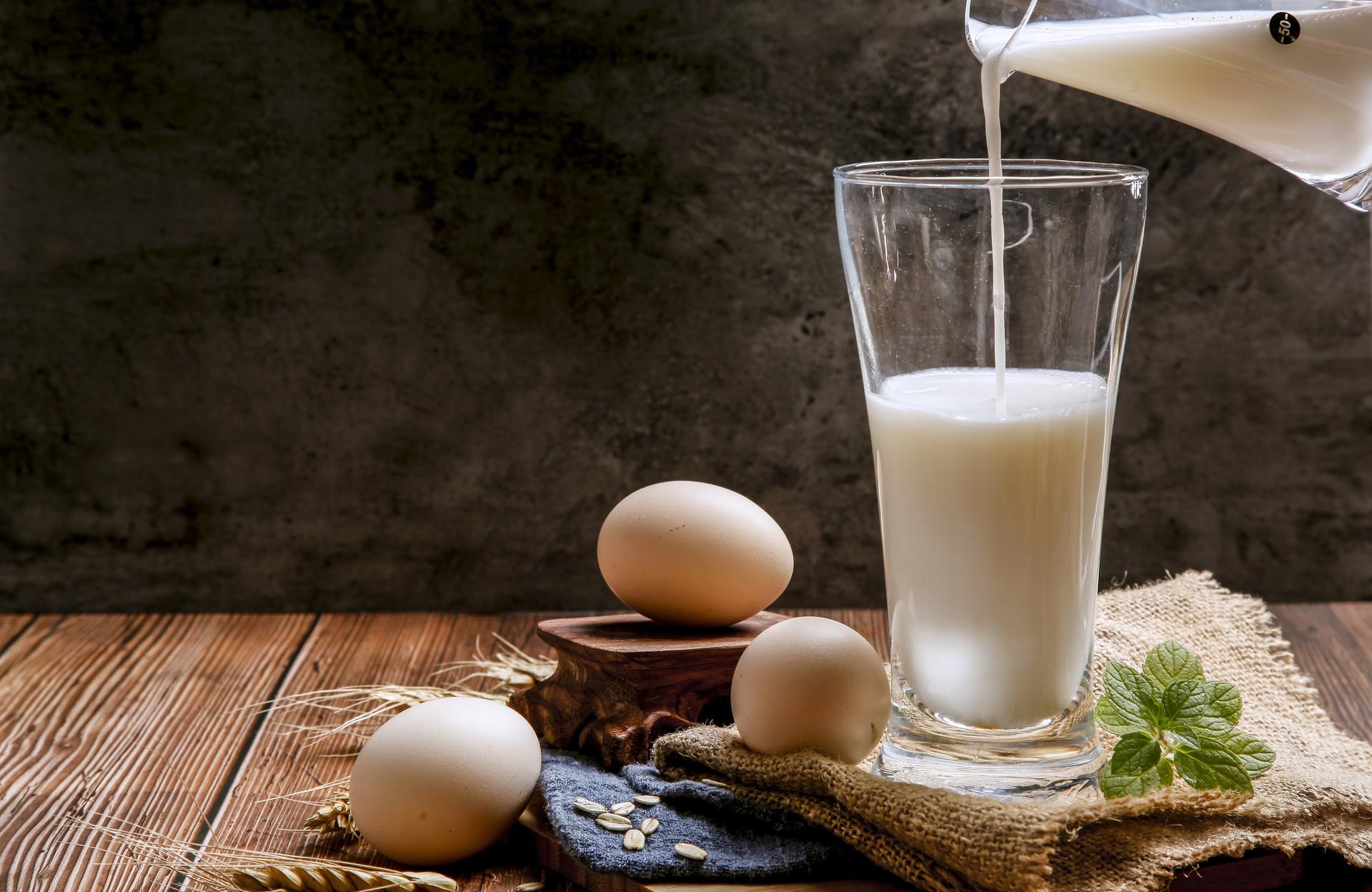 鲜奶和奶粉哪个营养价值更高