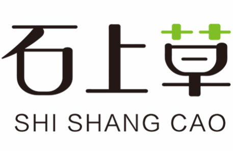 脱发怎么办？石上草教你正确选择防脱洗护用品