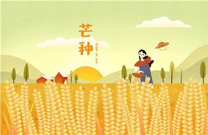 2020年芒种后九天是哪一天 九天交运是什么时间