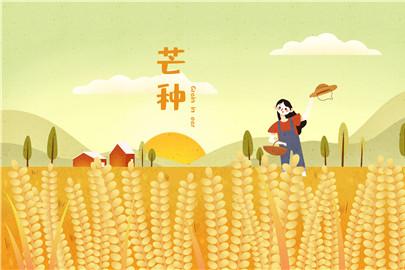 2020年芒种后九天是哪一天 九天交运是什么时间