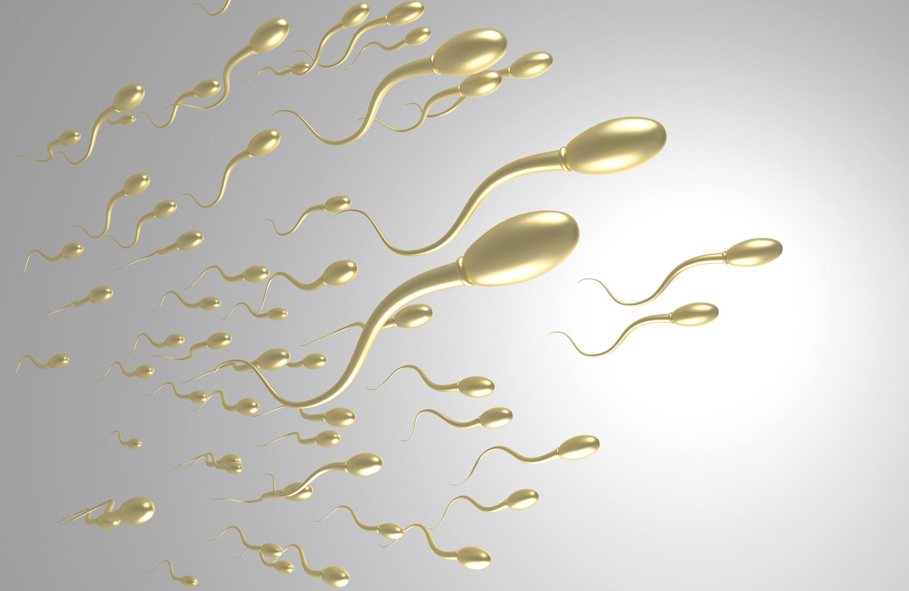 精子存活率30%能否怀孕