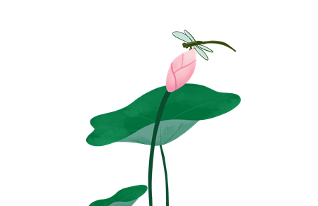 蜻蜓老师的翅膀的故事