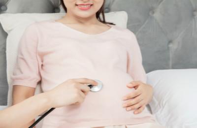 孕中期宝宝发育指南
