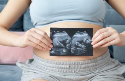 怀孕40天的胎儿有多大?