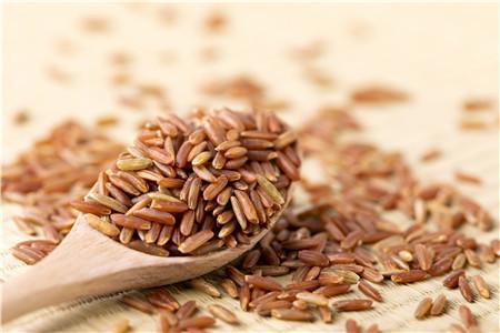 多大宝宝可以吃胚芽米