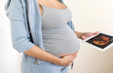 怀孕8周出现胎停育的原因是什么？