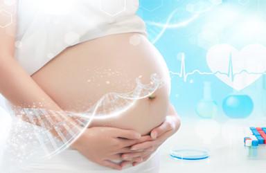 妊娠期后三个月胎儿有哪些变化