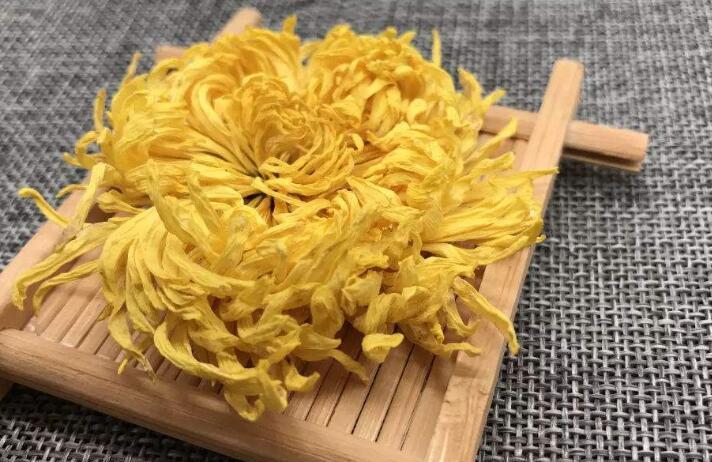 金丝皇菊怎么泡好看
