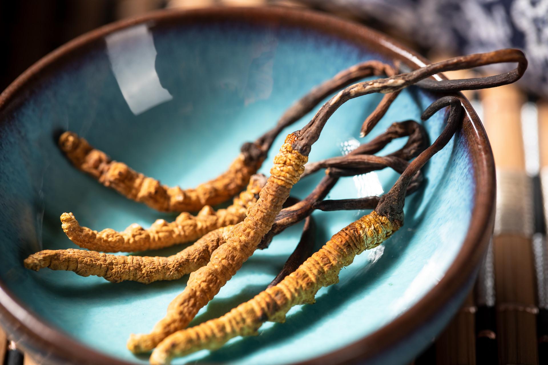 冬虫夏草煲汤放几根