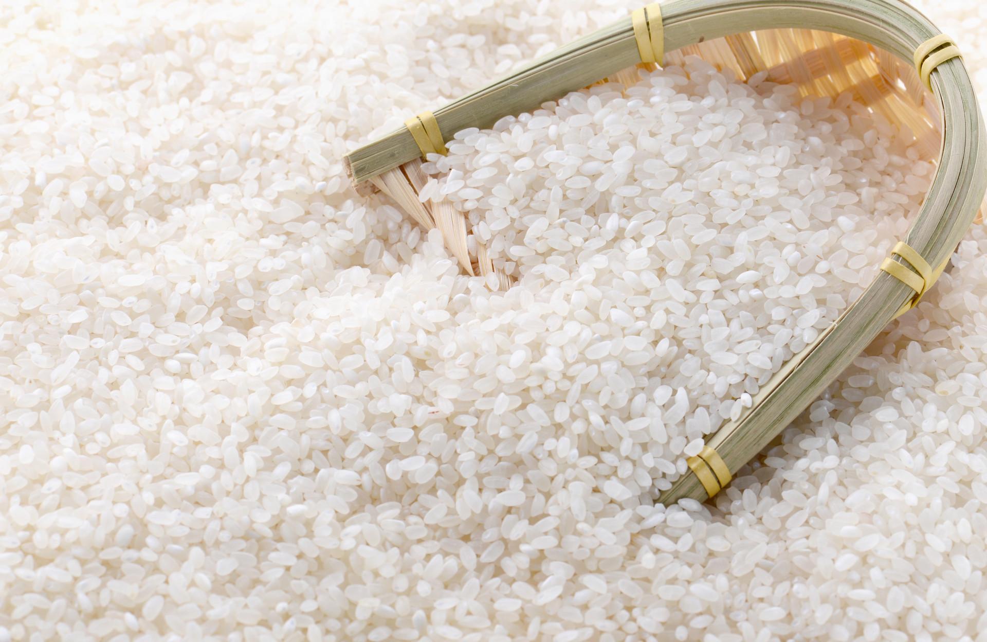 粳米和糙米的区别