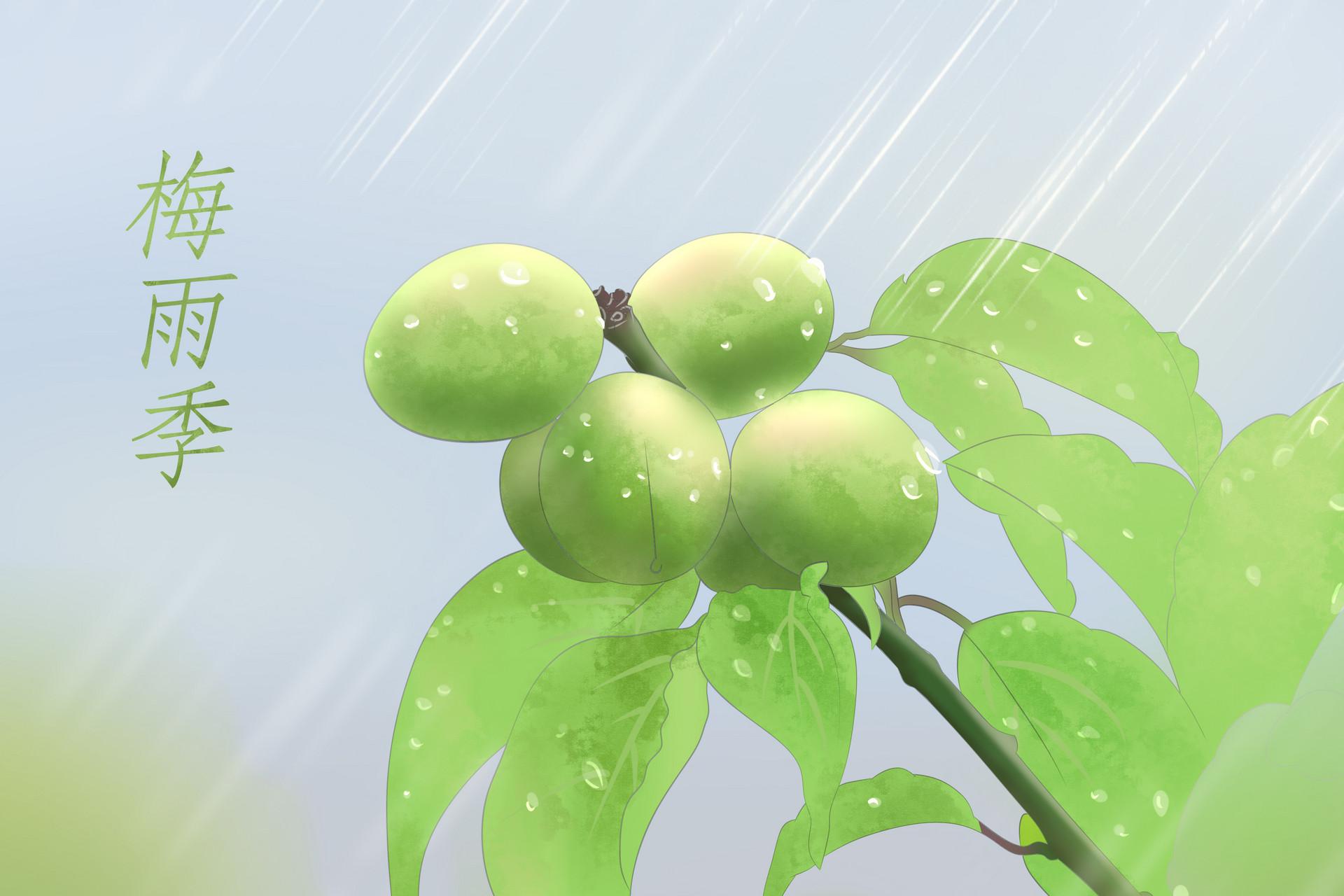 入梅出梅时间2020 今年什么时候入梅什么时候出梅