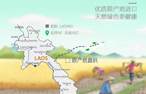 富含维生素AD的挝粮婴儿米粉 帮助宝宝成长更茁壮