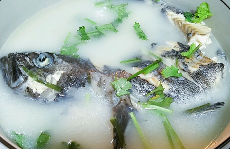 哺乳期可以喝黑鱼汤吗
