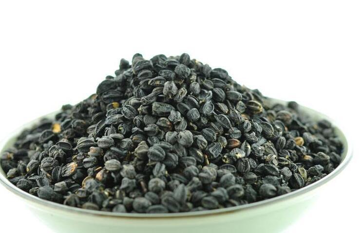 刺五加茶的功效与作用