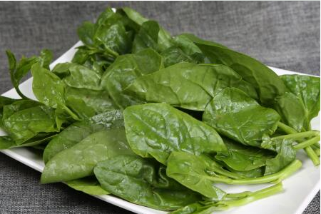 木耳菜禁忌人群 哪些人不宜吃木耳菜