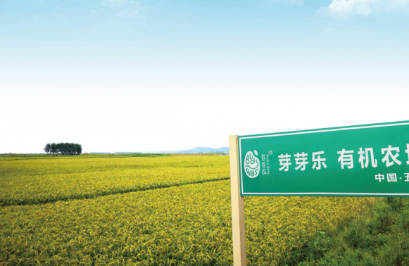 芽芽乐，奥运冠军为它打call的胚芽米!