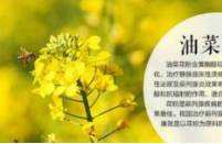 前列腺增生怎么治疗，冠心病加前列腺增生吃什么药好？